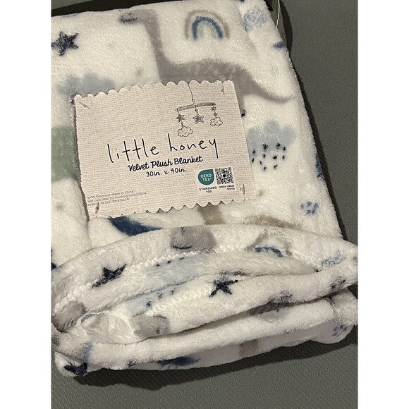 Little Honey Baby Blanket Dinosaur Print Green Gray Velvet Plush Boys New - Picture 3 of 4
